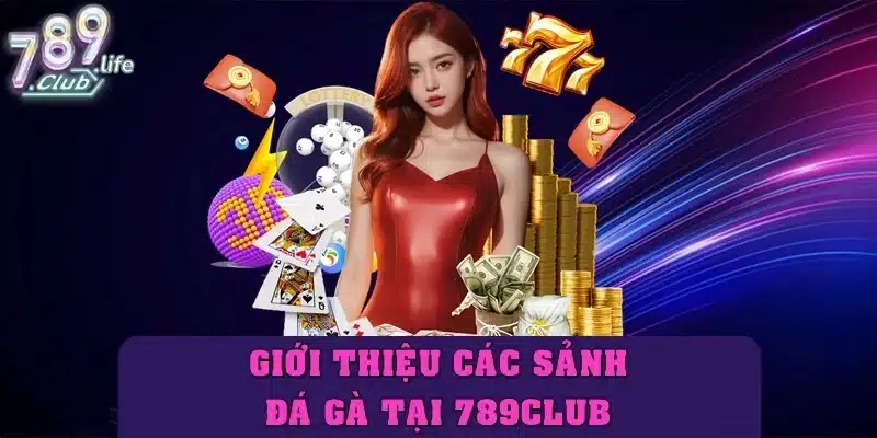 Giới thiệu các sảnh đá gà 789club