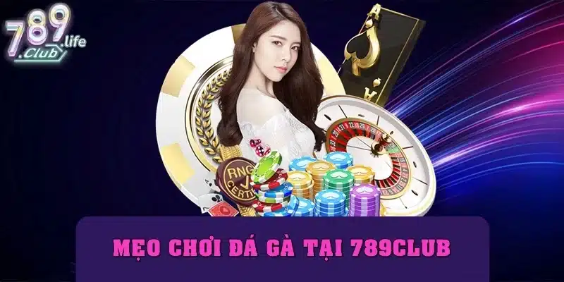 Mẹo chơi đá gà 789club dễ thắng