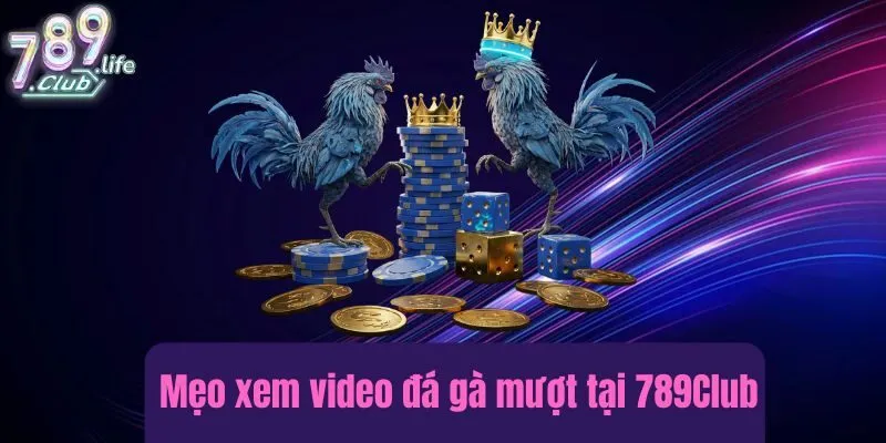Mẹo xem video đá gà mượt tại 789Club