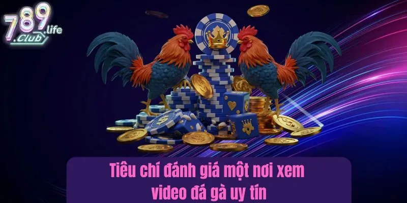 Tiêu chí đánh giá một nơi xem video đá gà uy tín