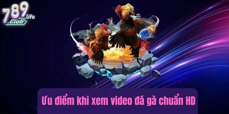 Ưu điểm khi xem video đá gà chuẩn HD
